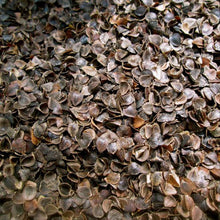 Load image into Gallery viewer, Bolster With Buckwheat Hulls Filled - Multicolor