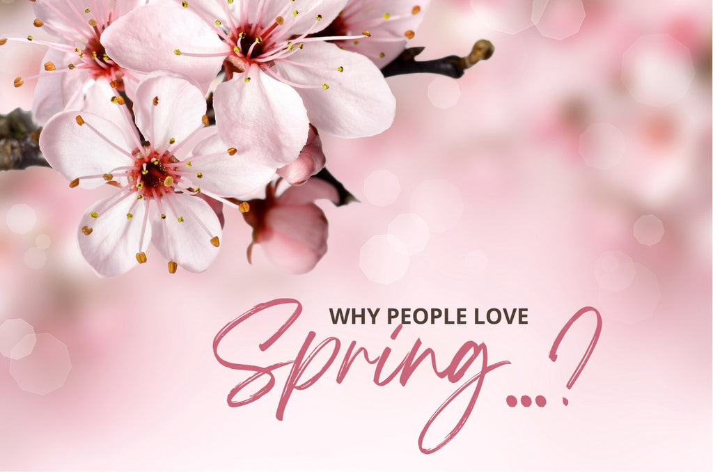 WHY PEOPLE LOVE SPRING?