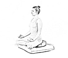 Load image into Gallery viewer, Meditation Cushion Zafu With Buckwheat Hulls Filled - Mandala Print - Multicolor
